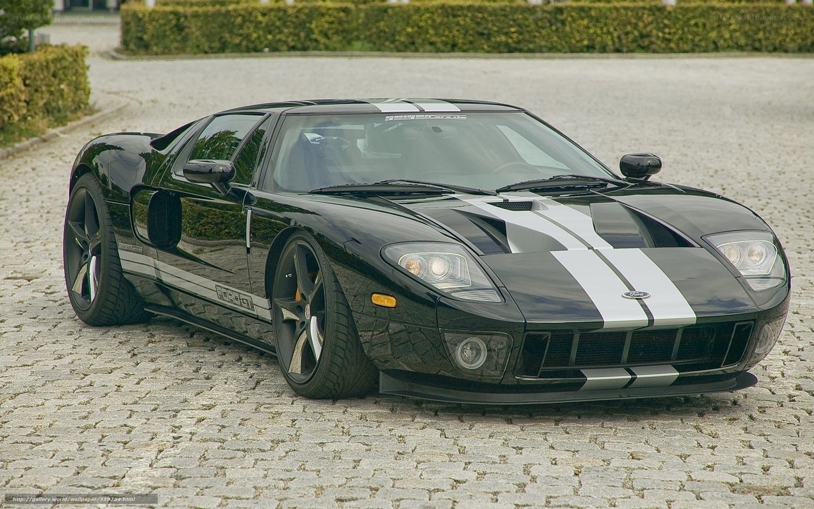 Black Ford GT with racing stripes