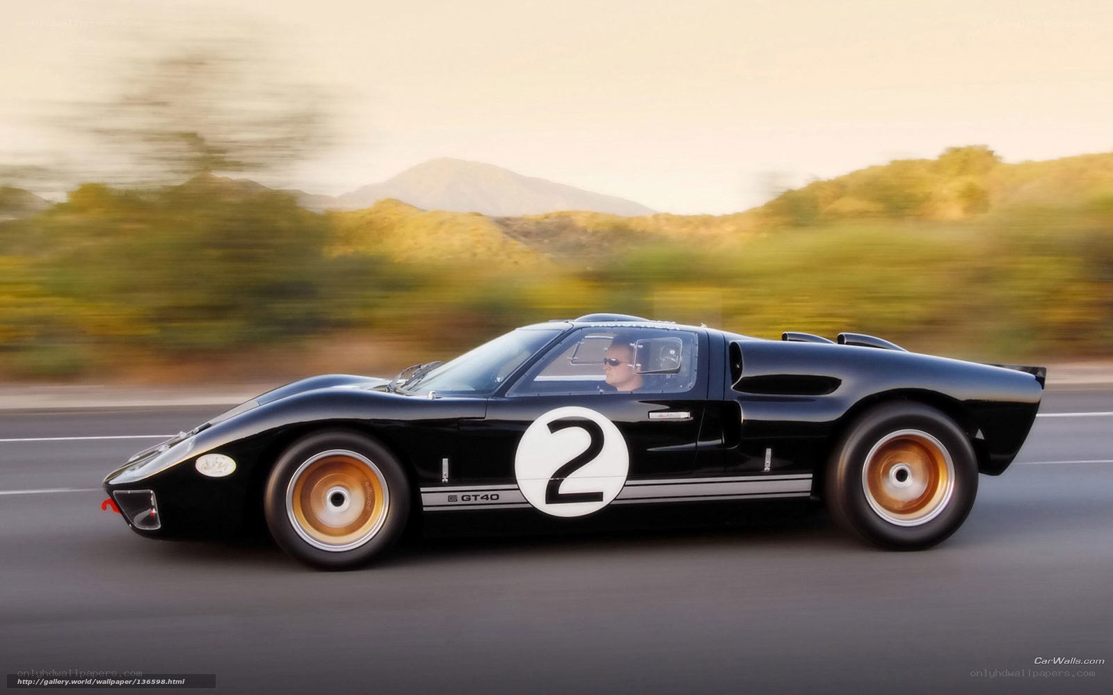 Black Ford GT40 racing car