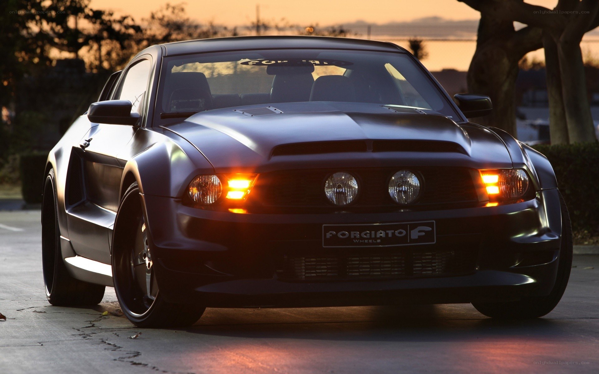 Black Ford Mustang at sunset