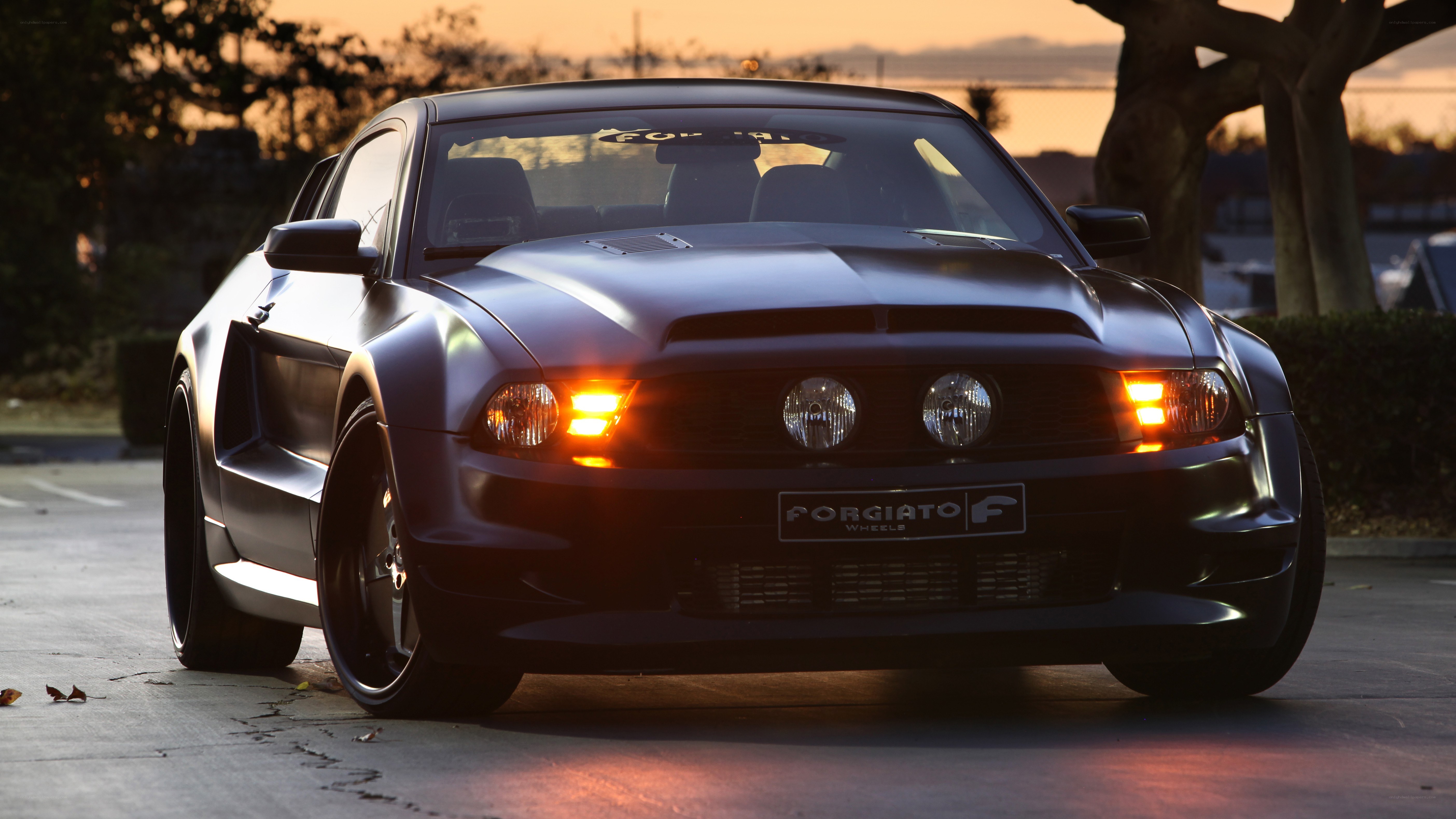 black ford mustang at sunset
