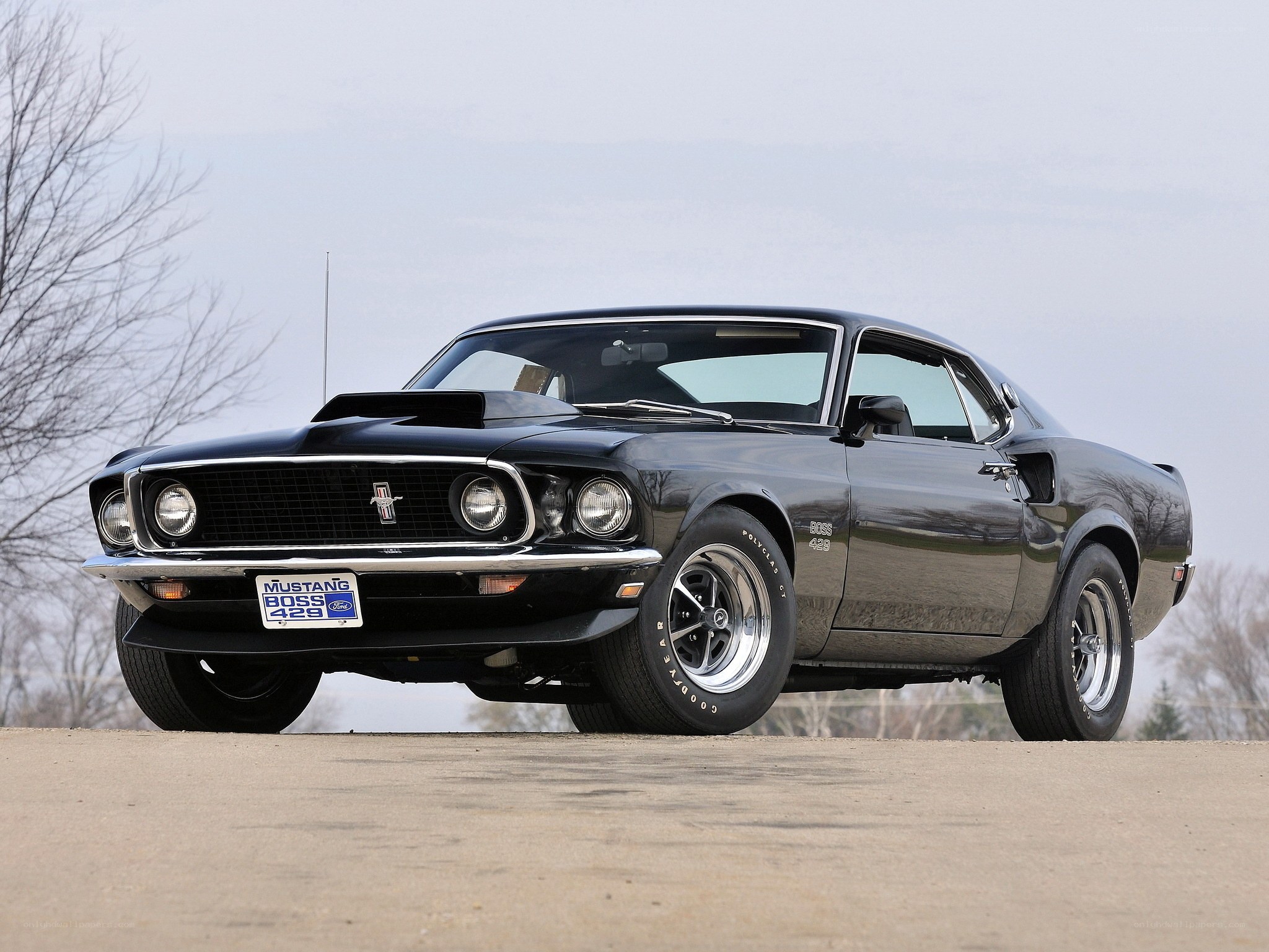 Black Ford Mustang Boss 429