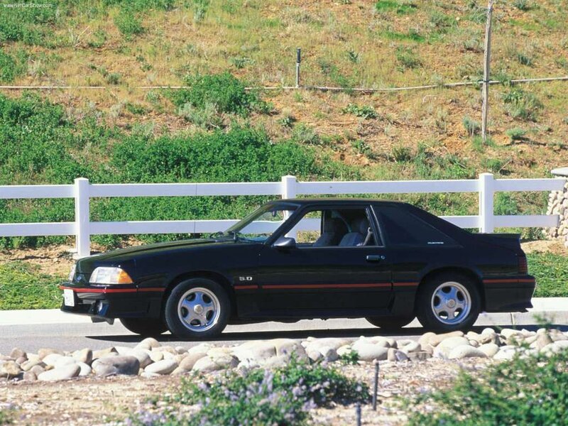 Black Ford Mustang — Calm, Afternoon