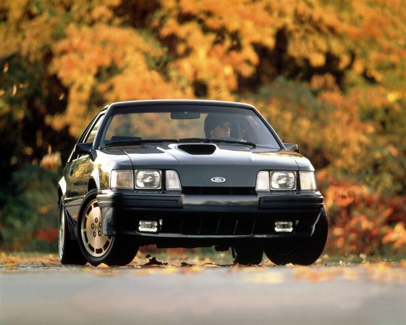 Black Ford Mustang — Calm, Autumn