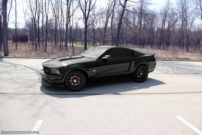 Black Ford Mustang — Calm, Winter