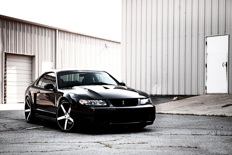 Black Ford Mustang Cobra
