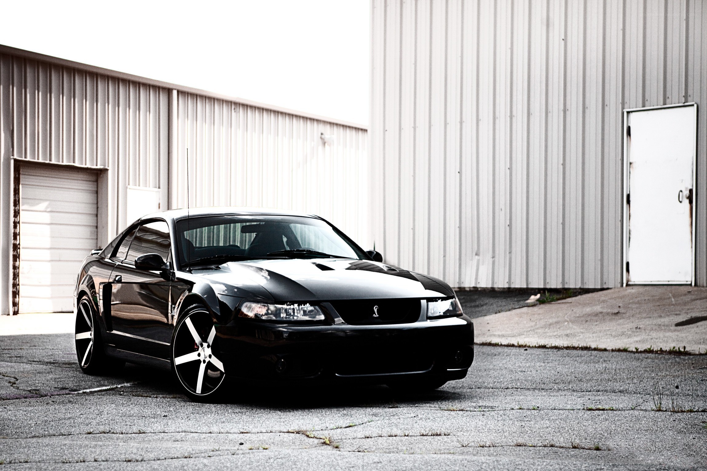 Black Ford Mustang Cobra