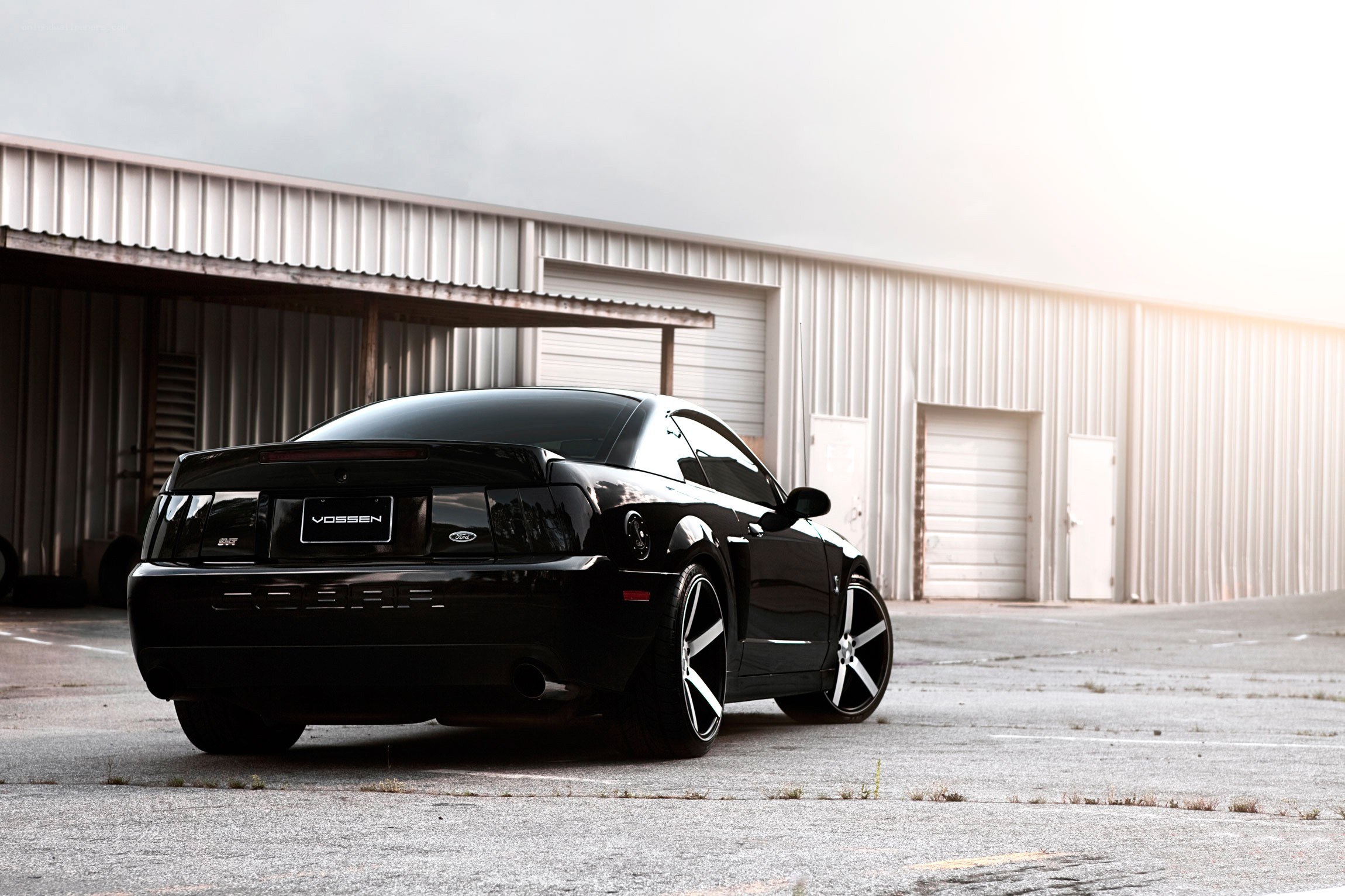 Black Ford Mustang Cobra