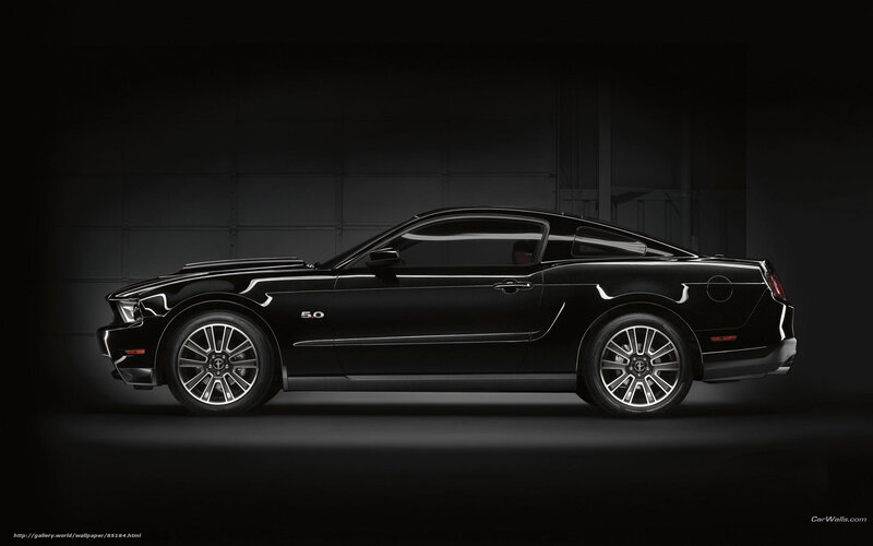 Black Ford Mustang — Dramatic, Photograph, Car, Wheel