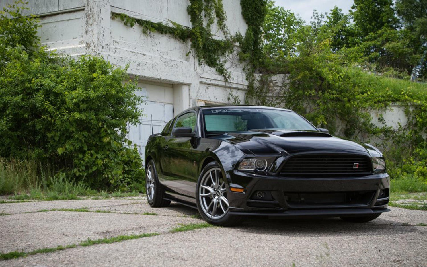 Black Ford Mustang GT
