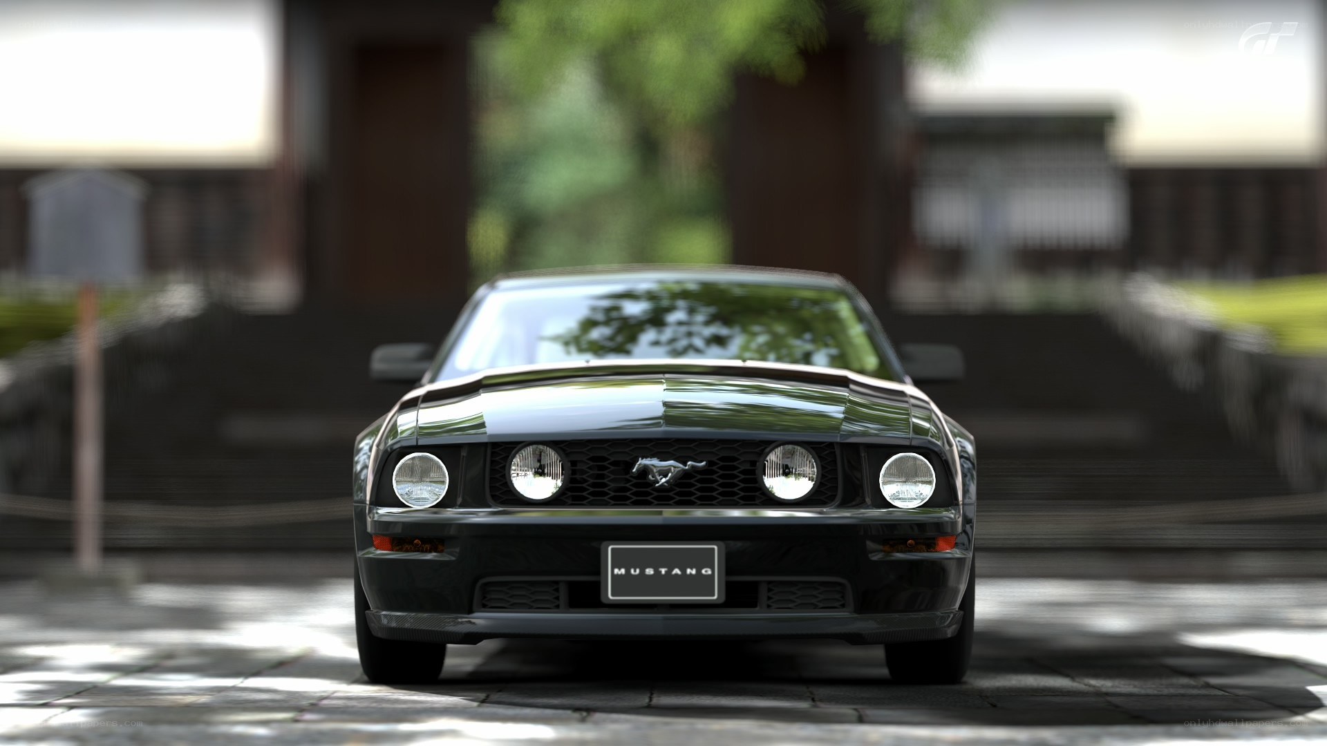 Black Ford Mustang GT