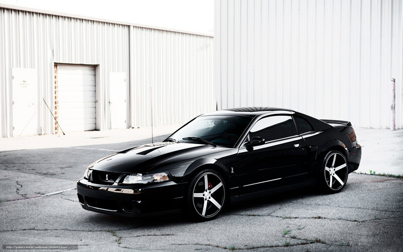 Black Ford Mustang GT