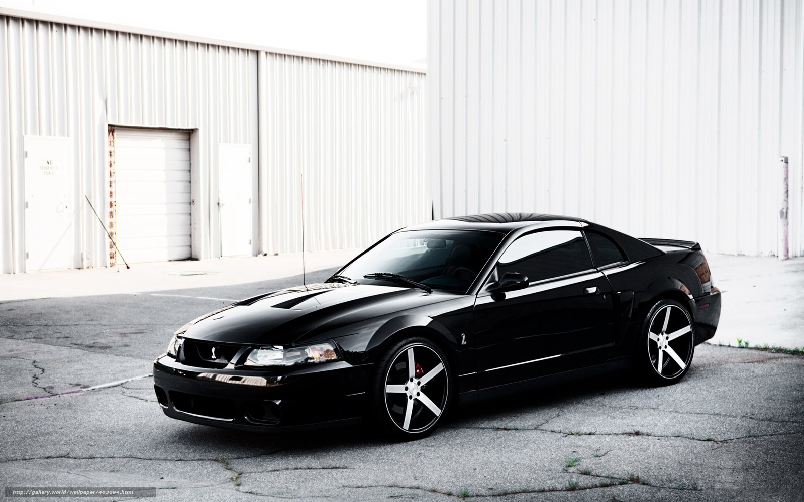 Black Ford Mustang GT