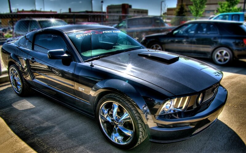 Black Ford Mustang GT — Dramatic, Afternoon