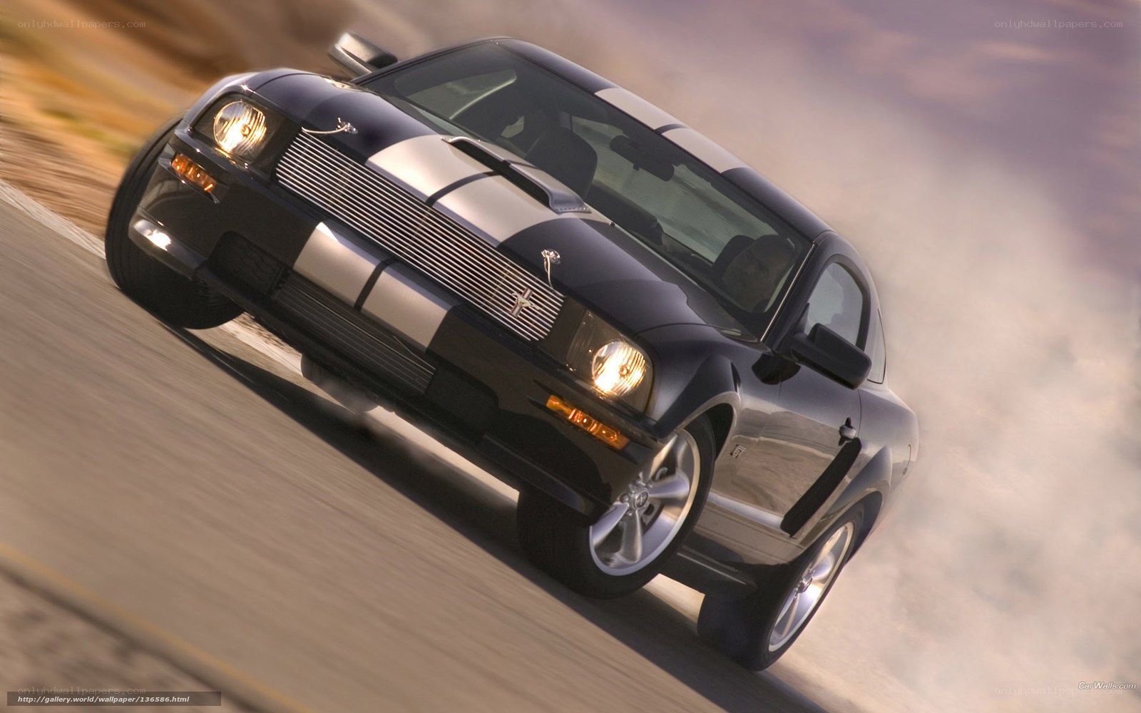 Black Ford Mustang GT in motion