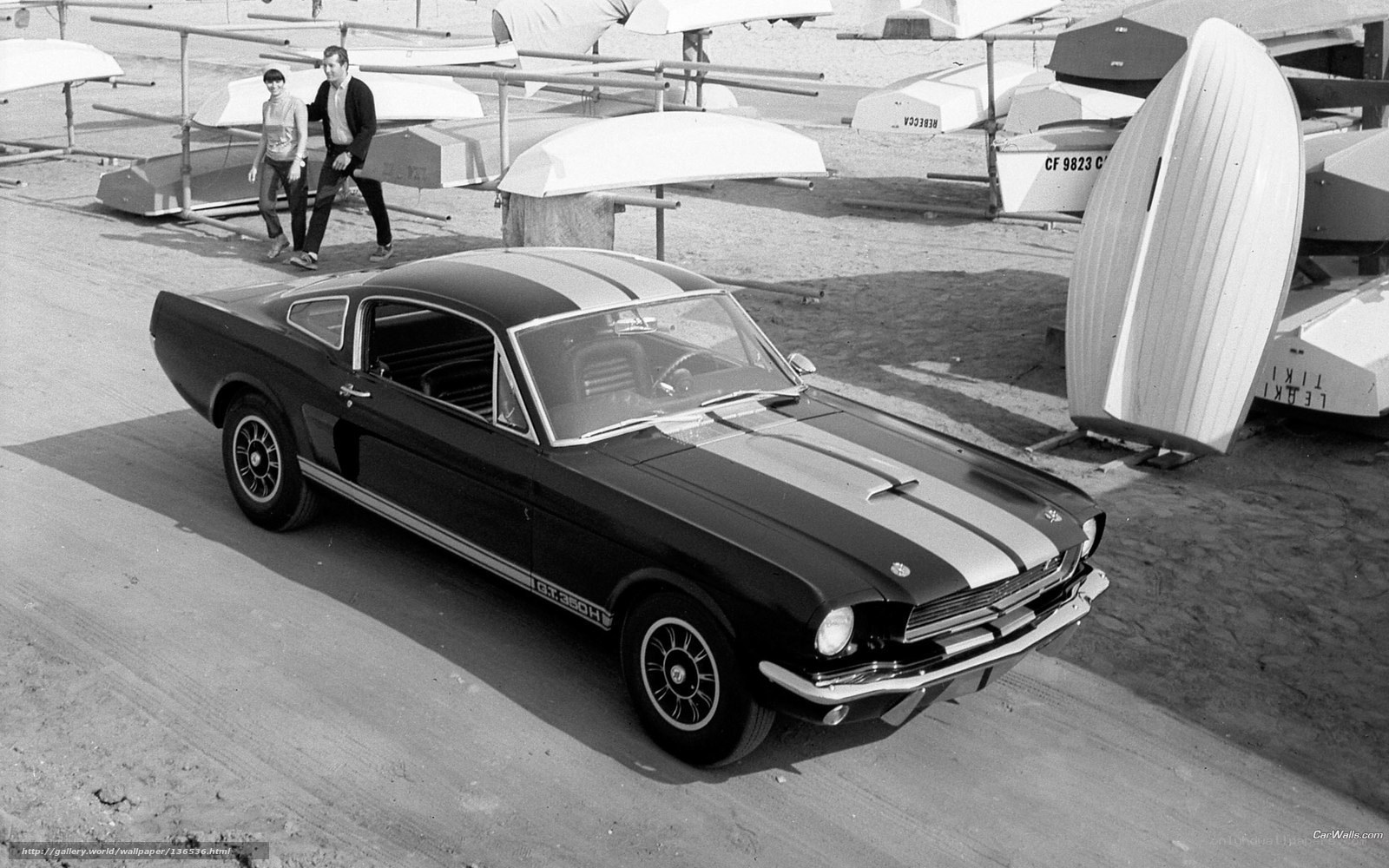 Black Ford Mustang GT350H