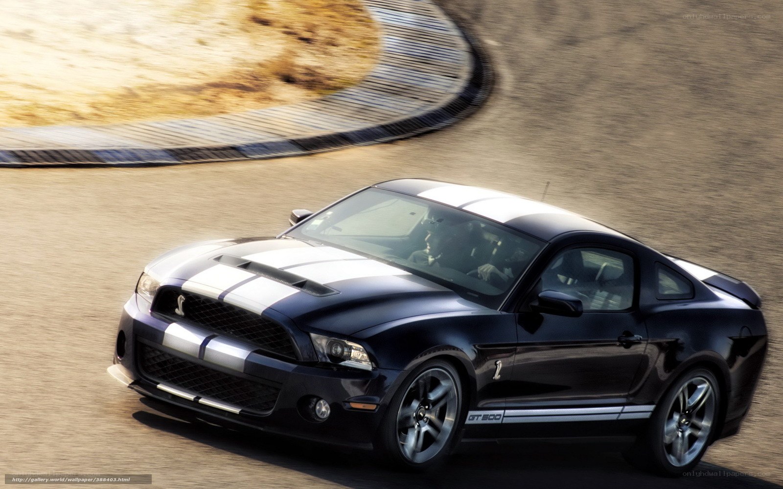 Black Ford Mustang GT500 on track