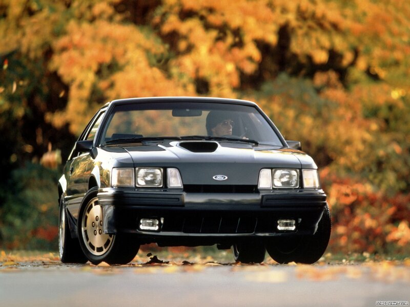 Black Ford Mustang in autumn