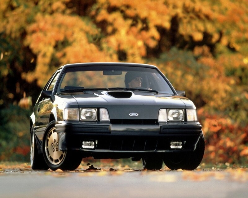 Black Ford Mustang in autumn