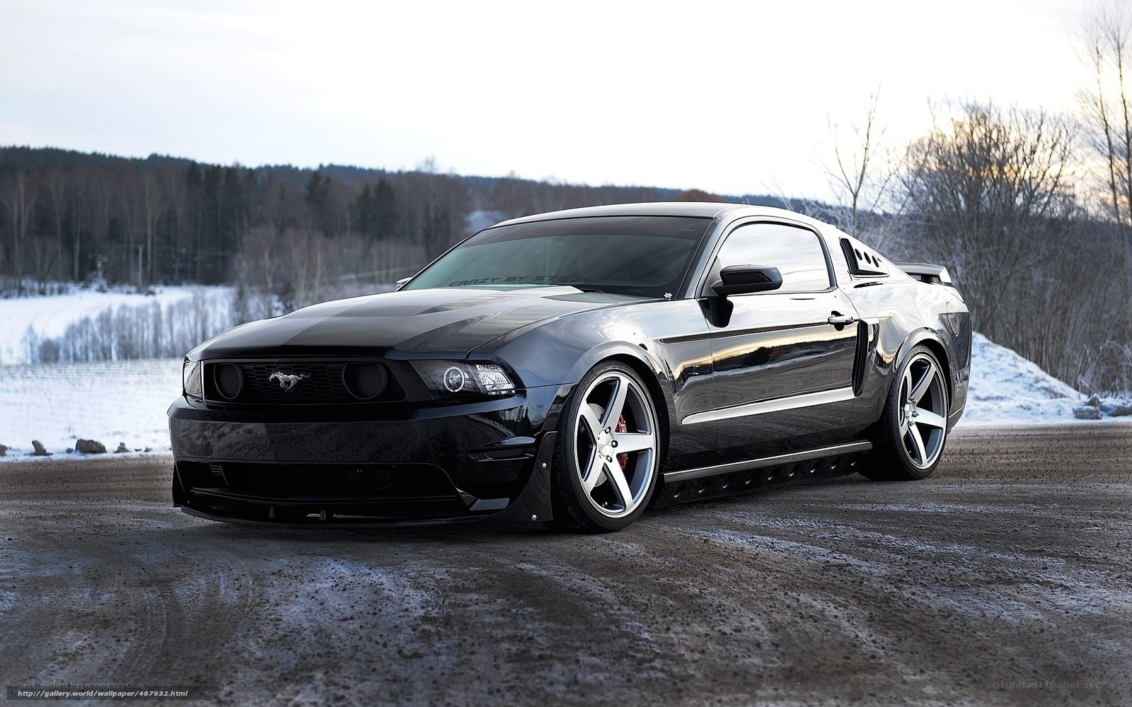 Black Ford Mustang in winter