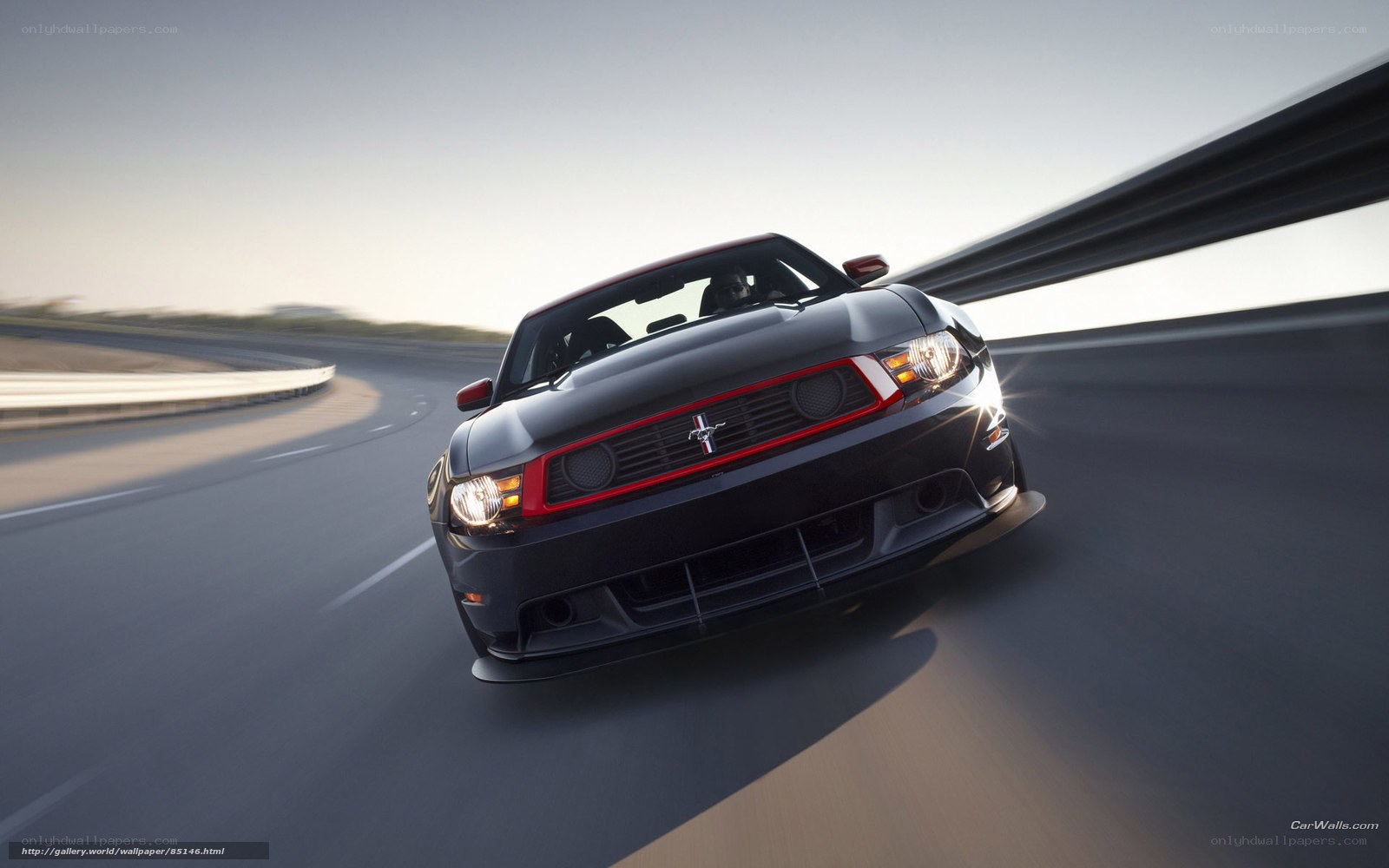 Black Ford Mustang on a racetrack