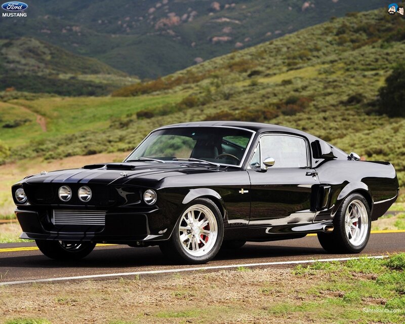 Black Ford Mustang on a road