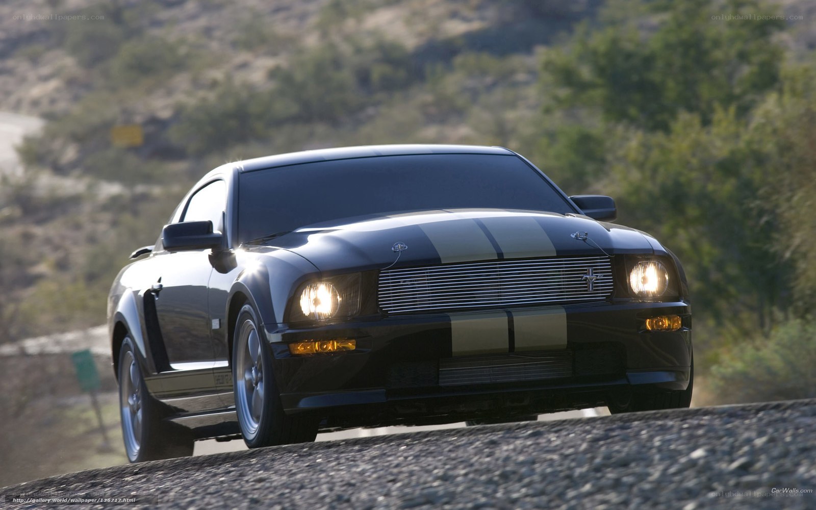 Black Ford Mustang on a road