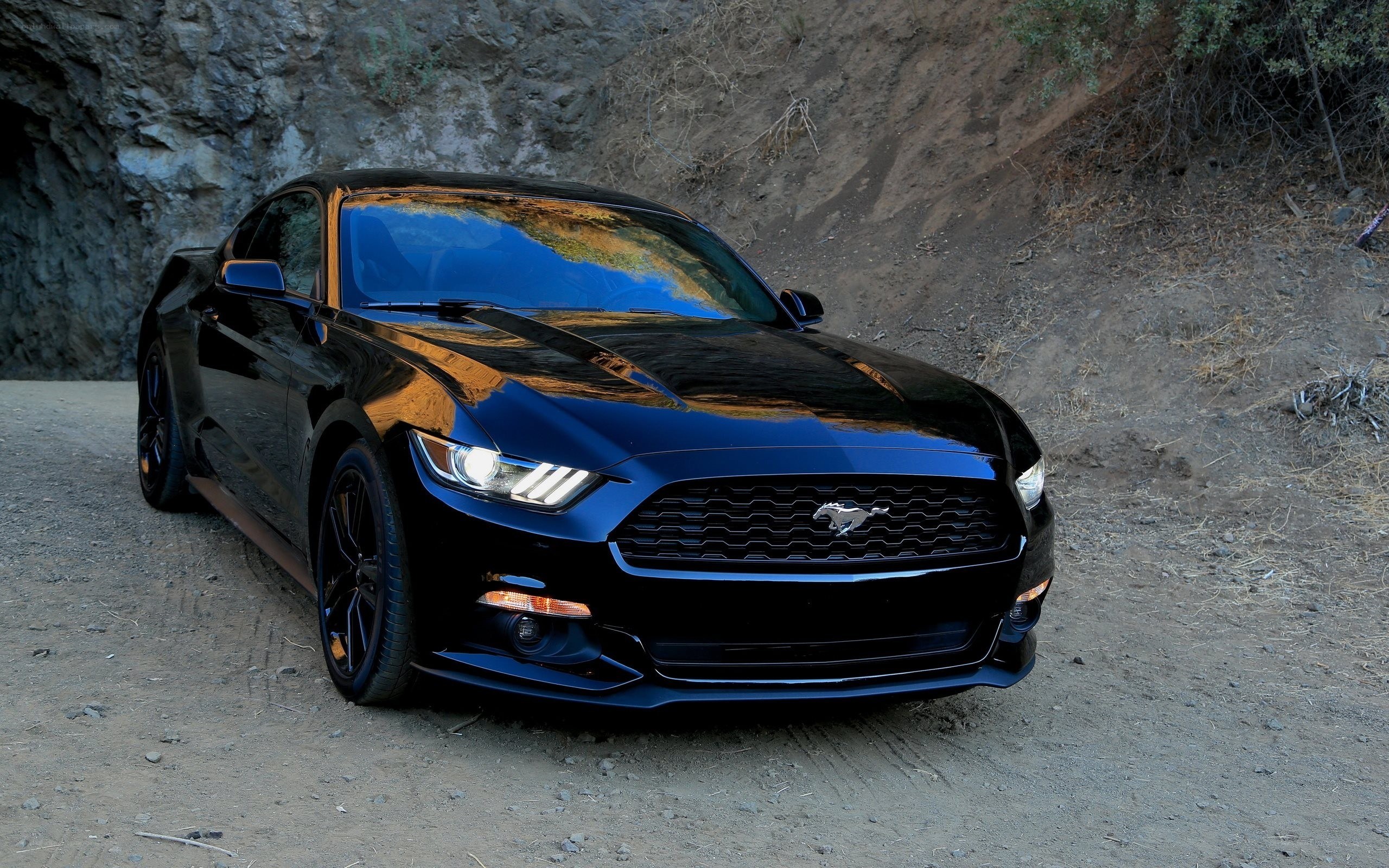 Black Ford Mustang on dirt road