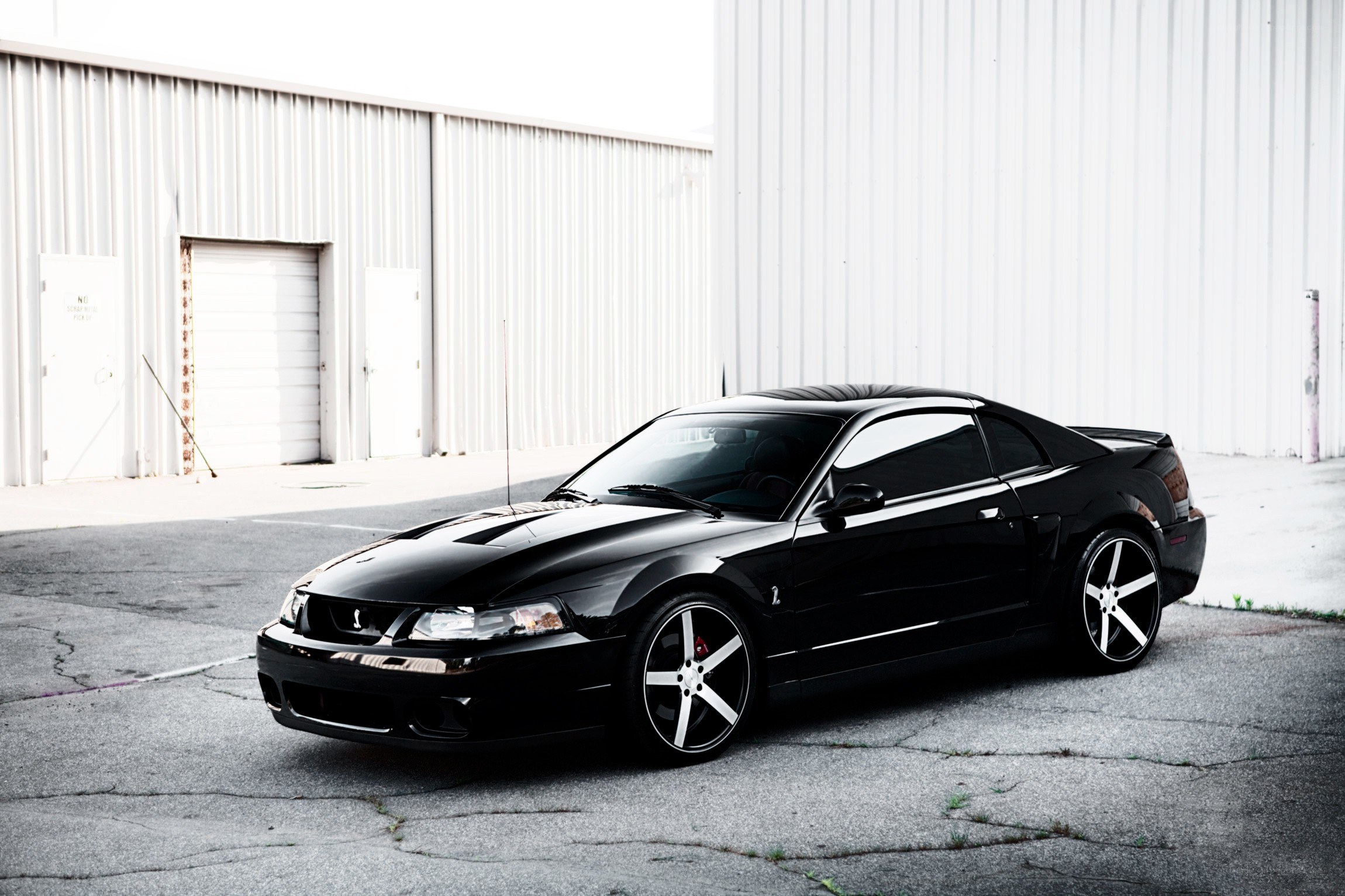 Black Ford Mustang on pavement