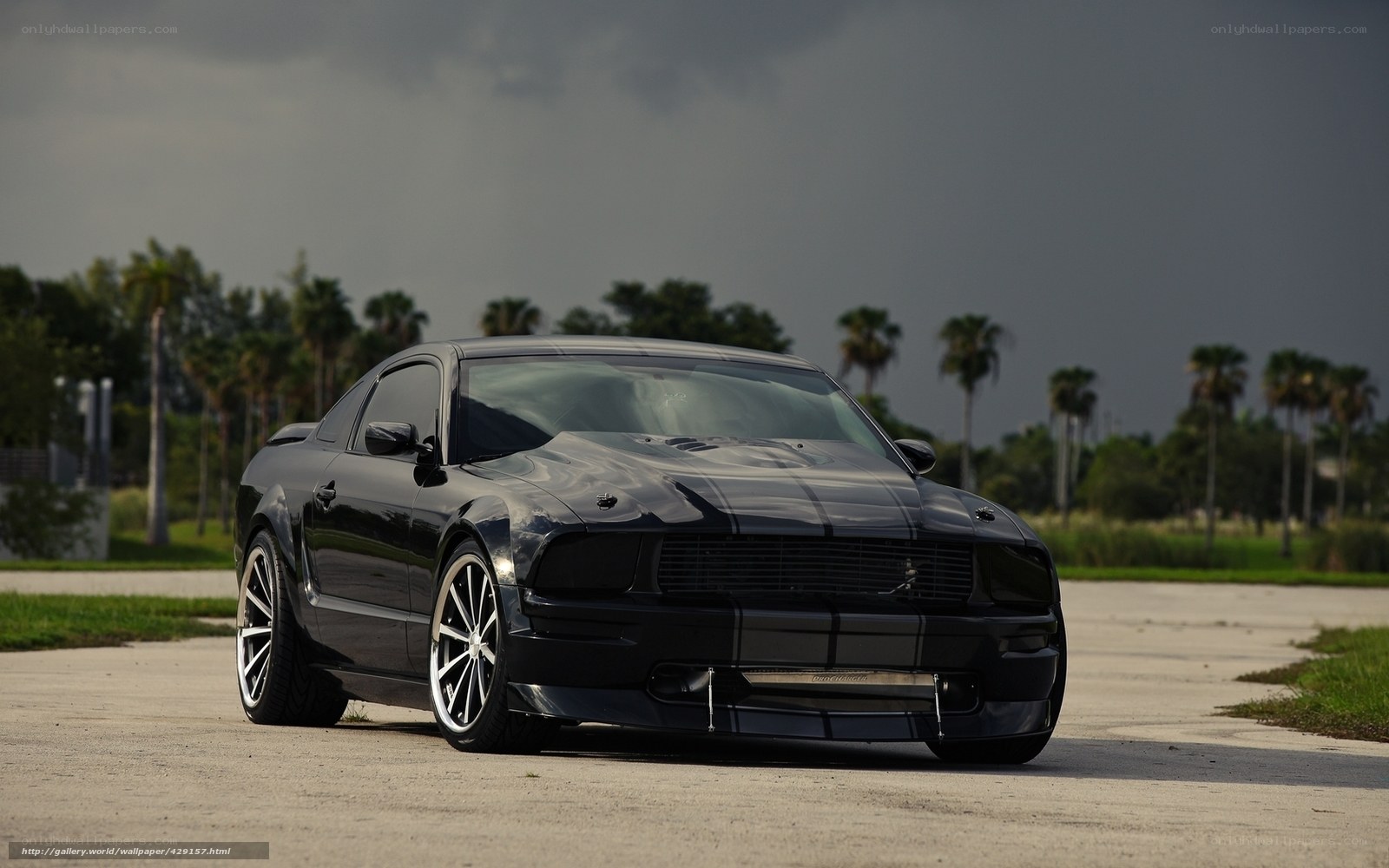 Black Ford Mustang on pavement