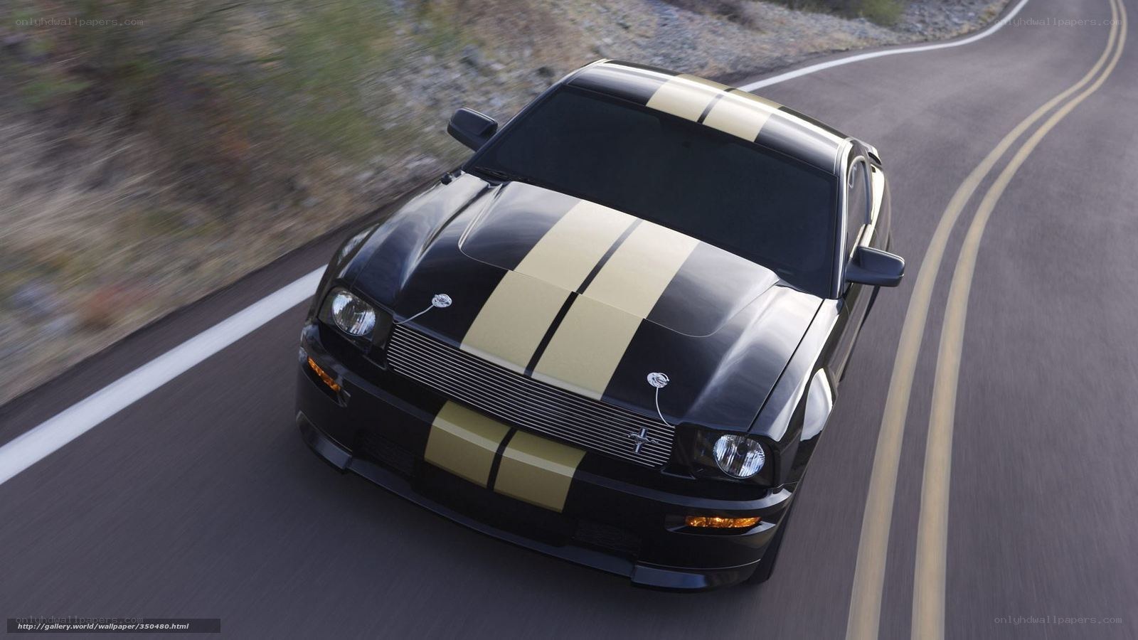 Black Ford Mustang on winding road