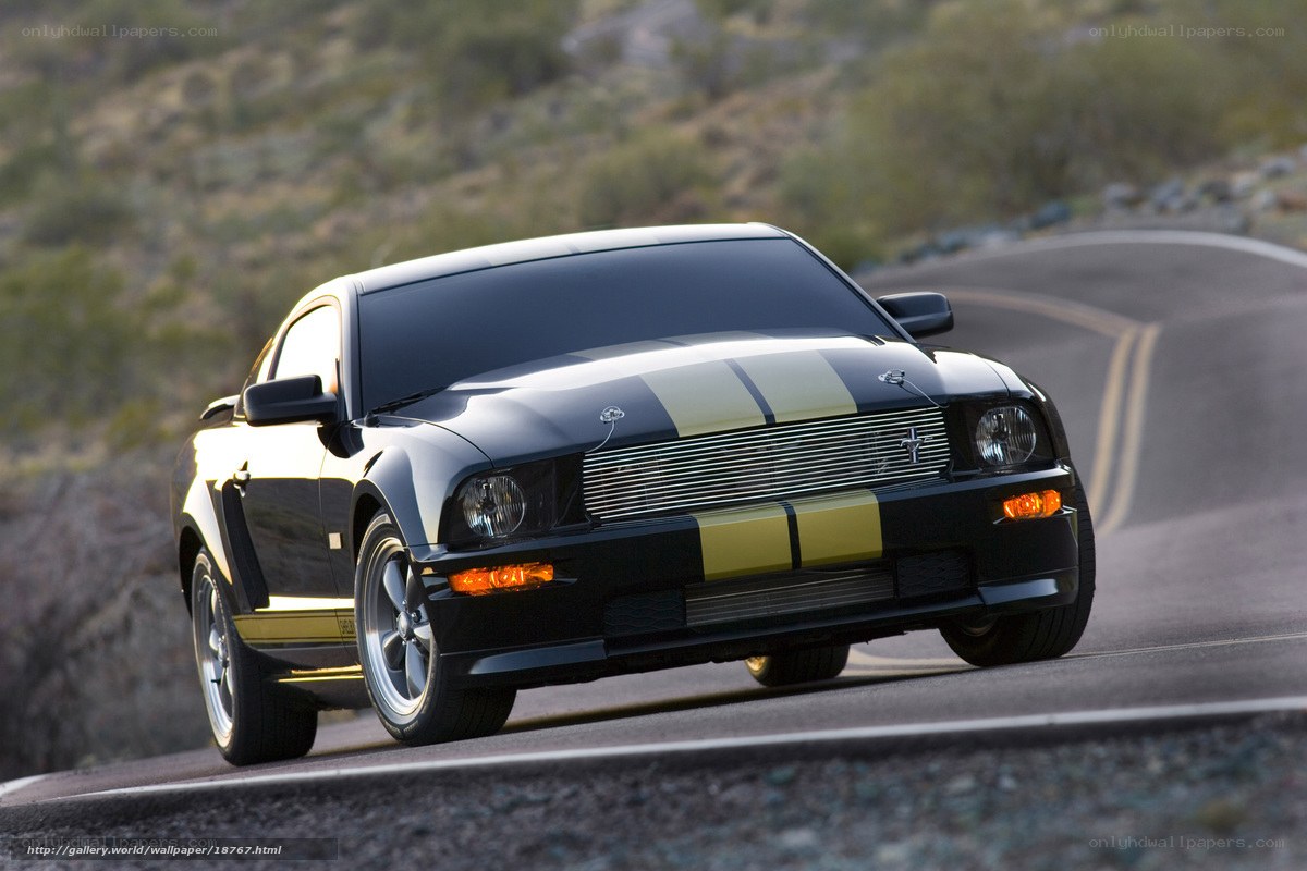 Black Ford Mustang on winding road
