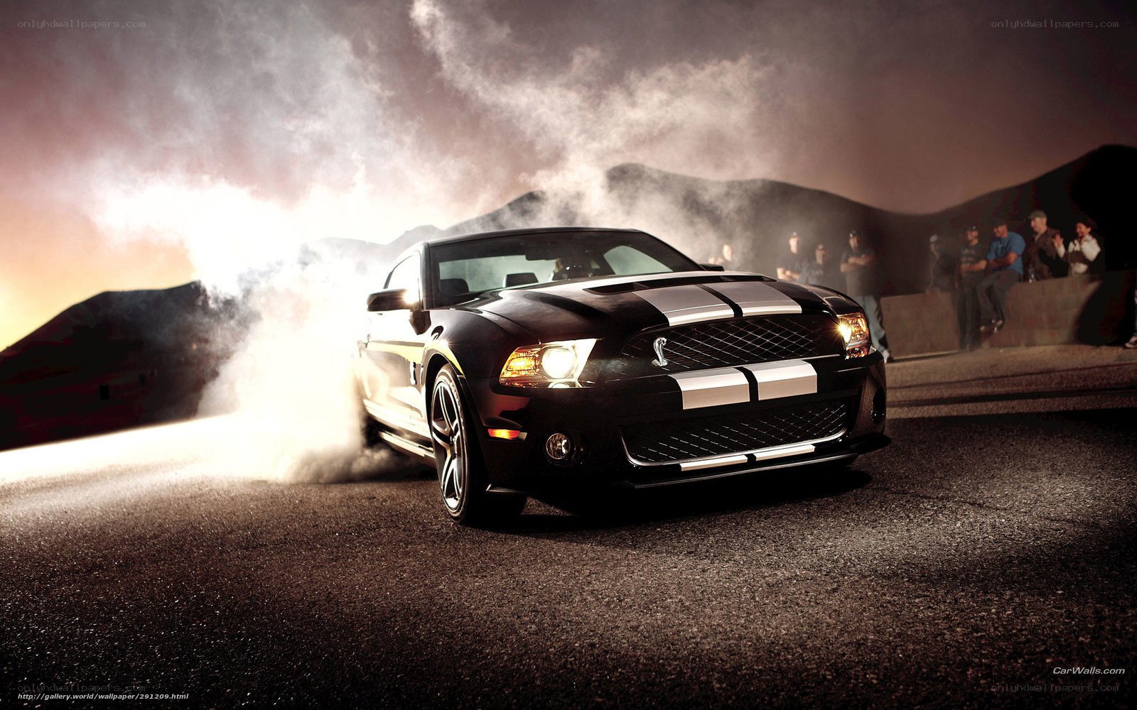 Black Ford Mustang Shelby GT500