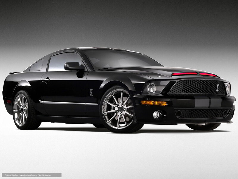 Black Ford Mustang Shelby GT500