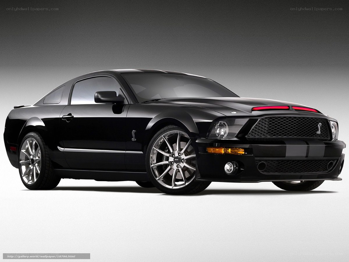 Black Ford Mustang Shelby GT500