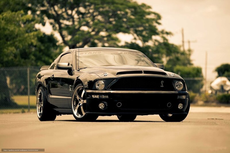 Black Ford Mustang Shelby