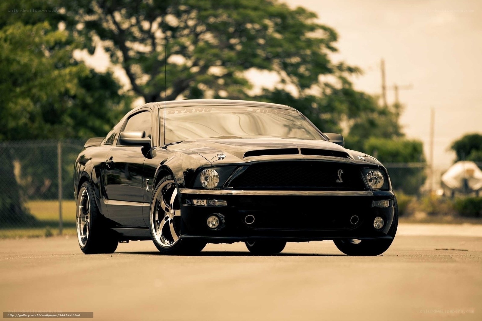 Black Ford Mustang Shelby