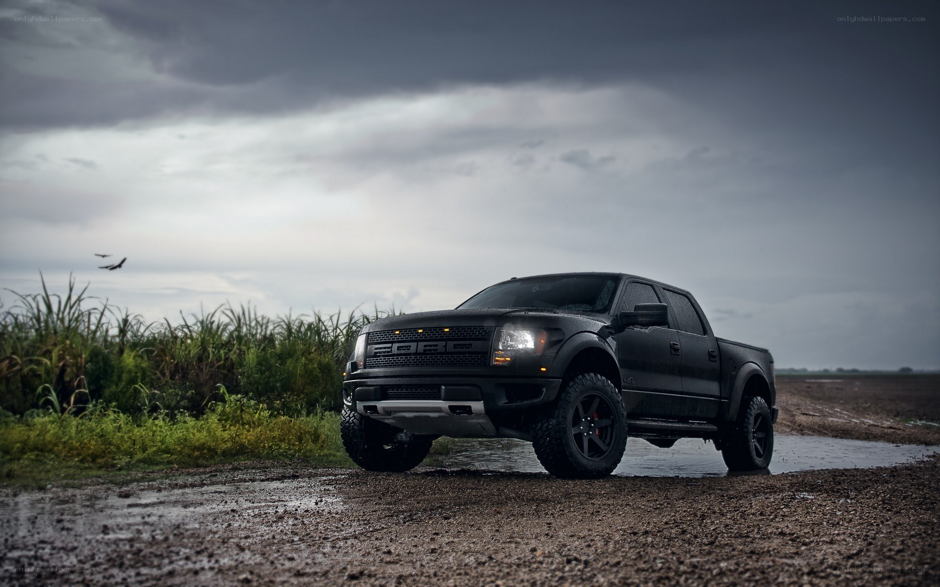 Black Ford Raptor on muddy road