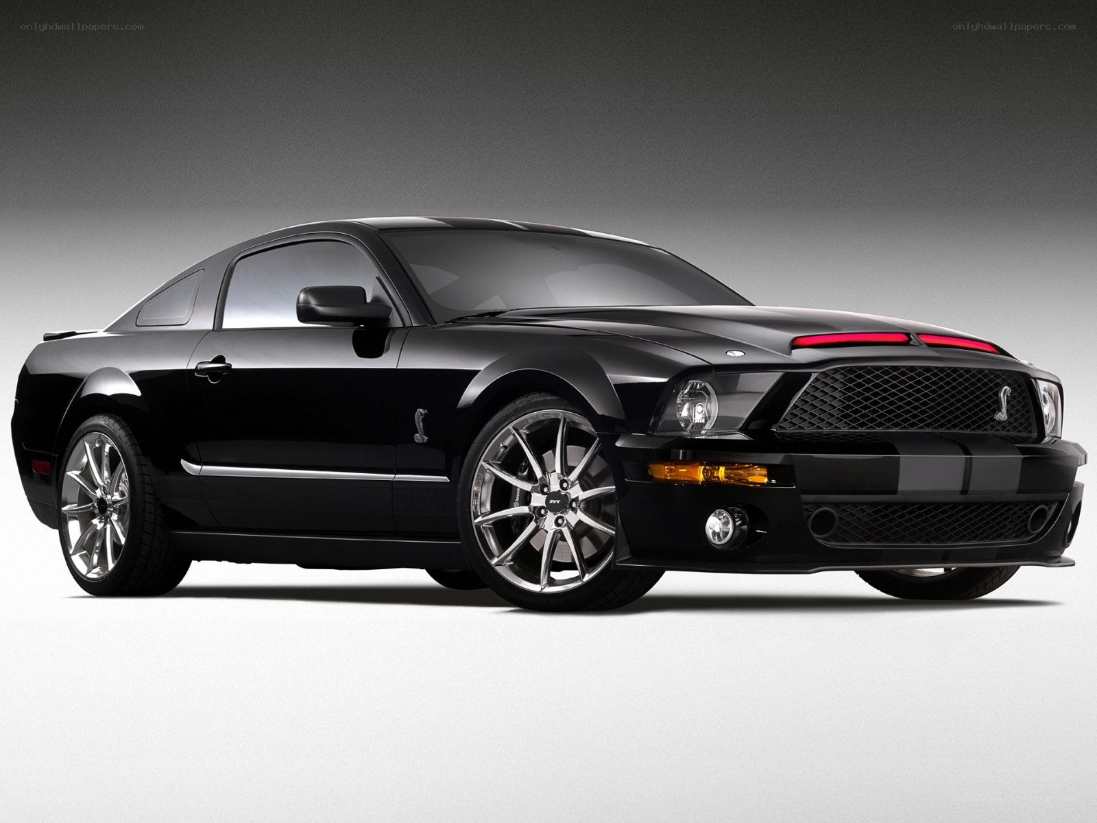 Black Ford Shelby GT500