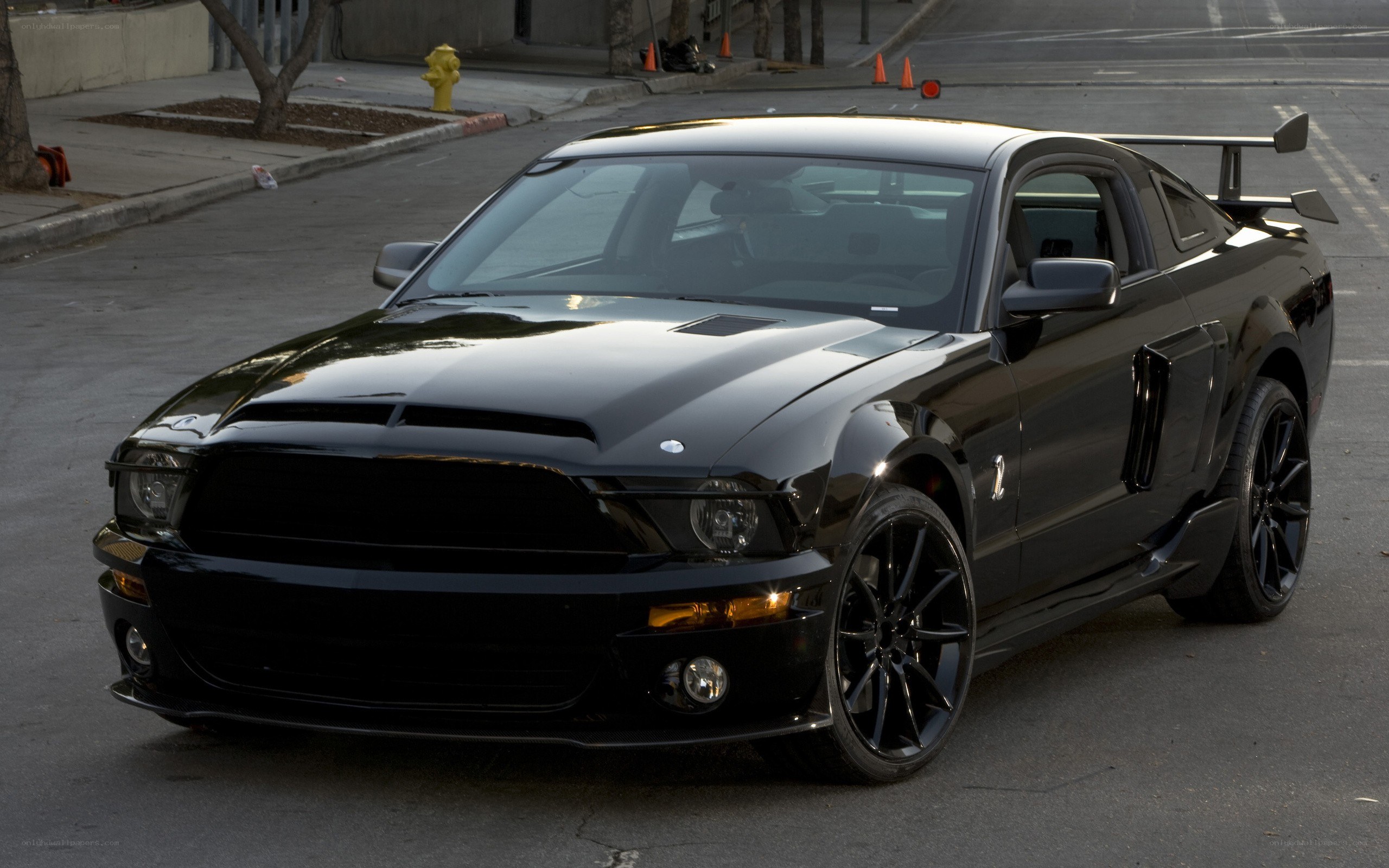 black ford shelby gt500
