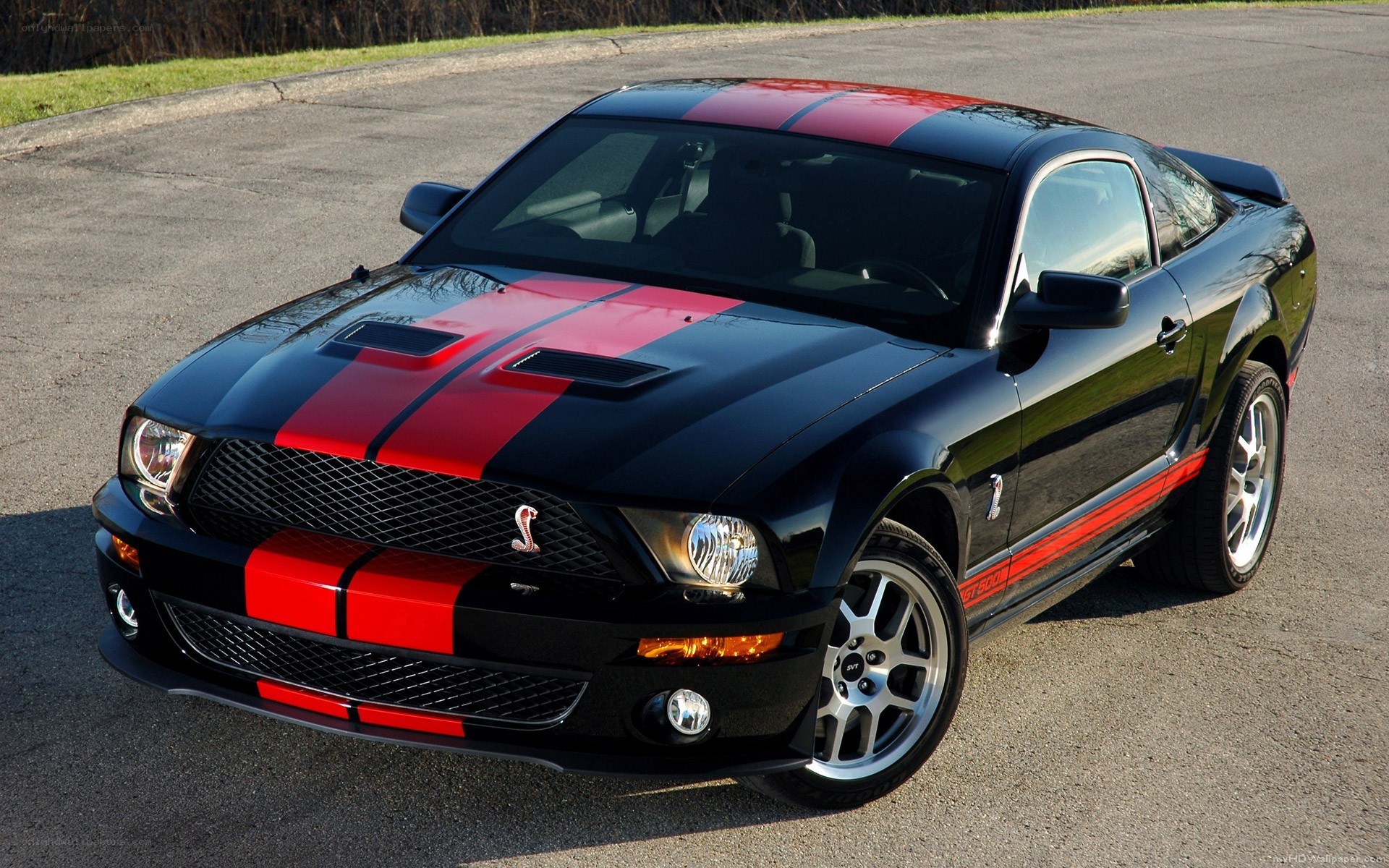 Black Ford Shelby GT500