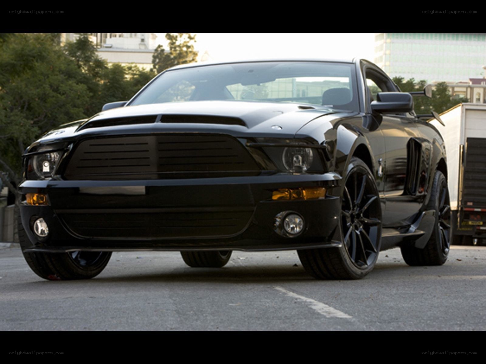 black ford shelby mustang