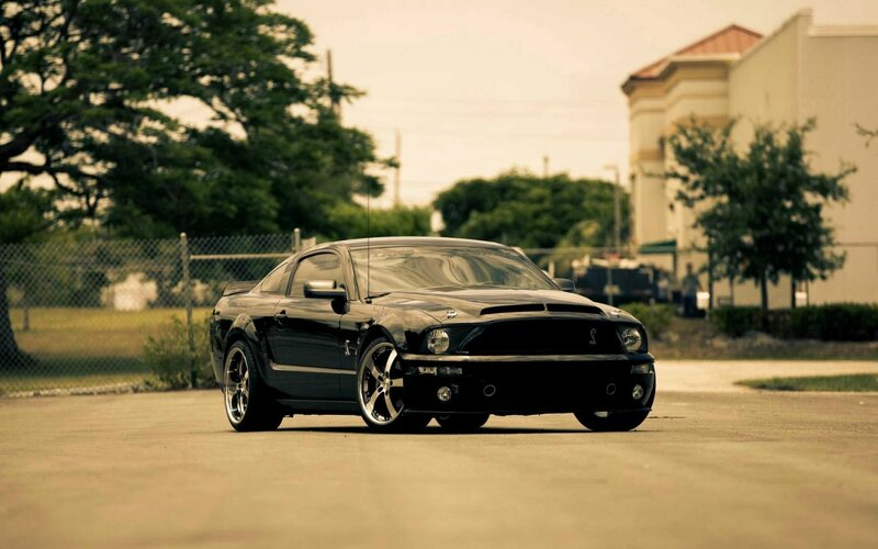 Black Ford Shelby Mustang — Calm