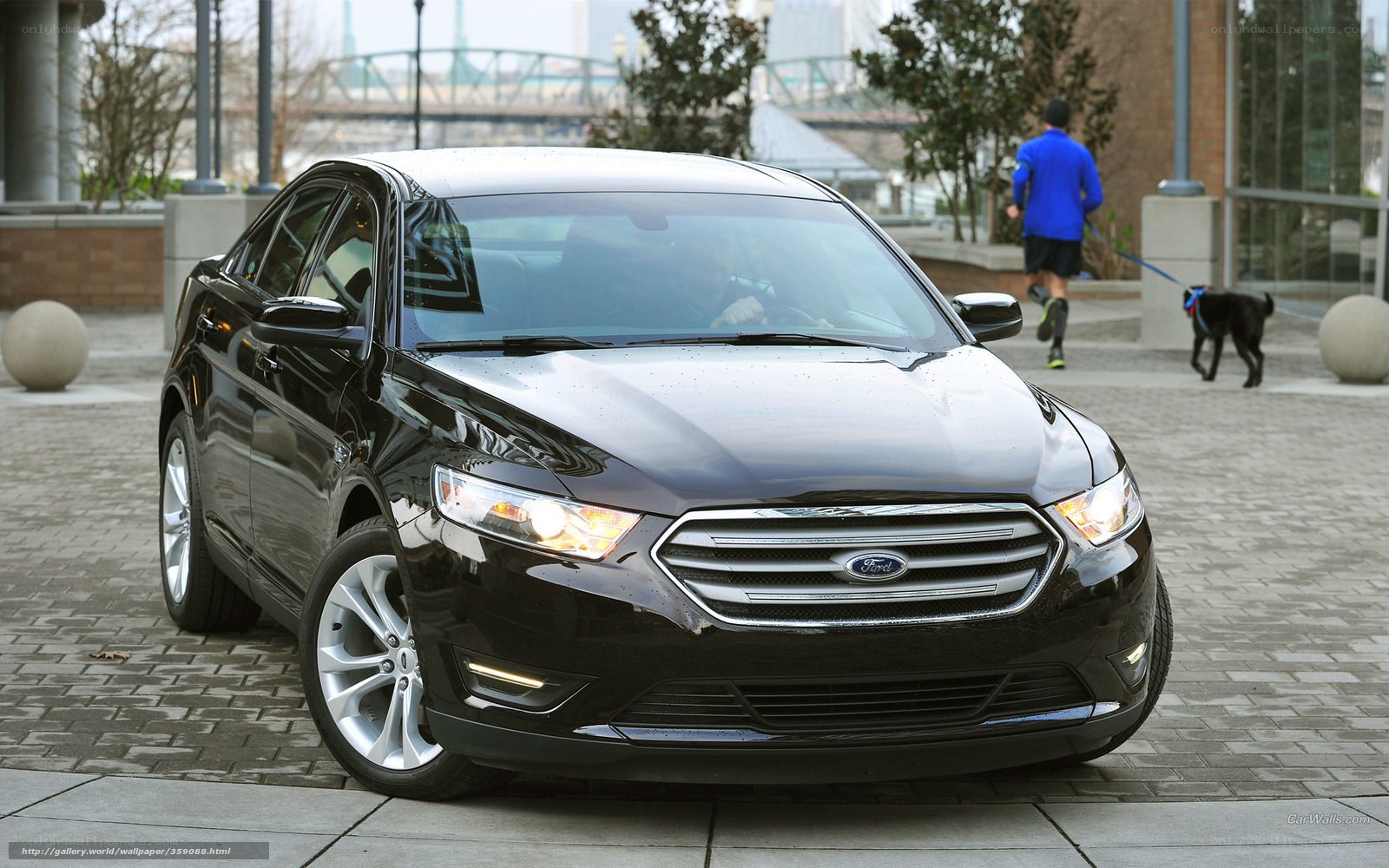 Black Ford Taurus in city