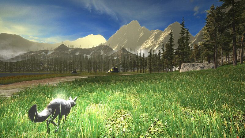 Black Fox in Grass — Green