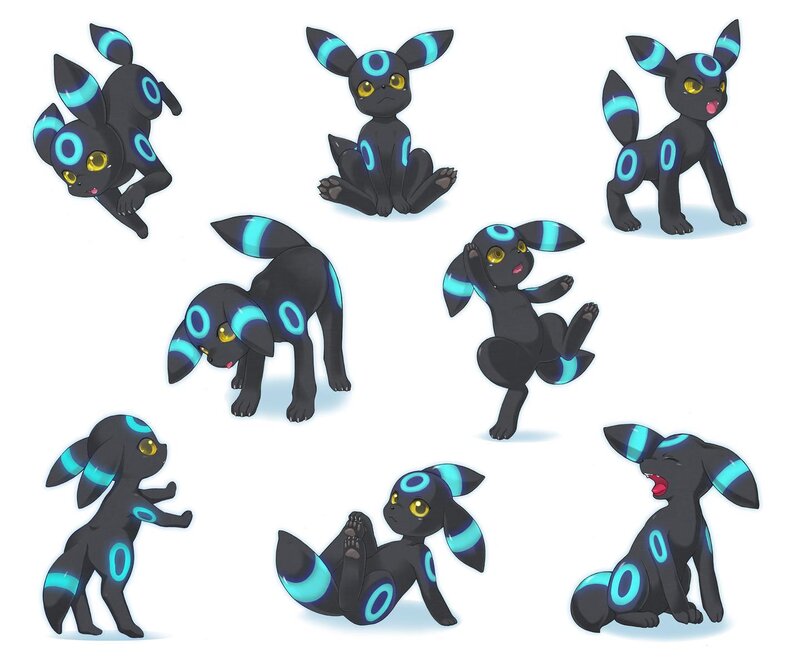 Black Fox-like Creature