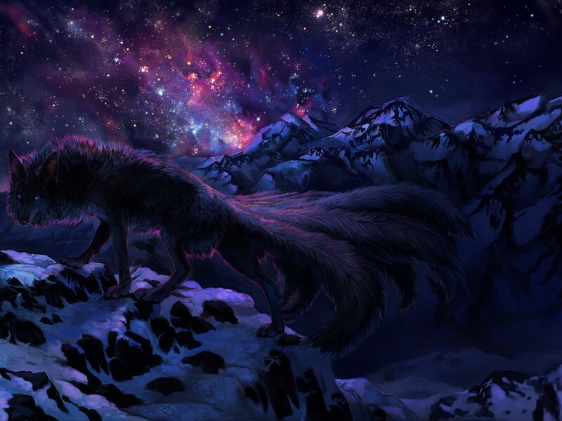Black Fox on Mountain