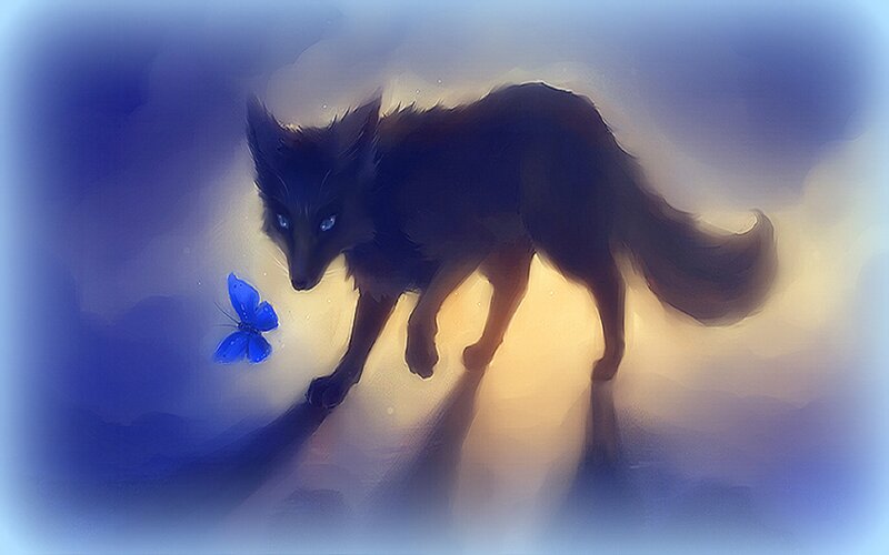 Black Fox with Blue Butterfly