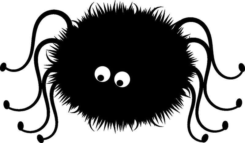 Black Fuzzy Spider