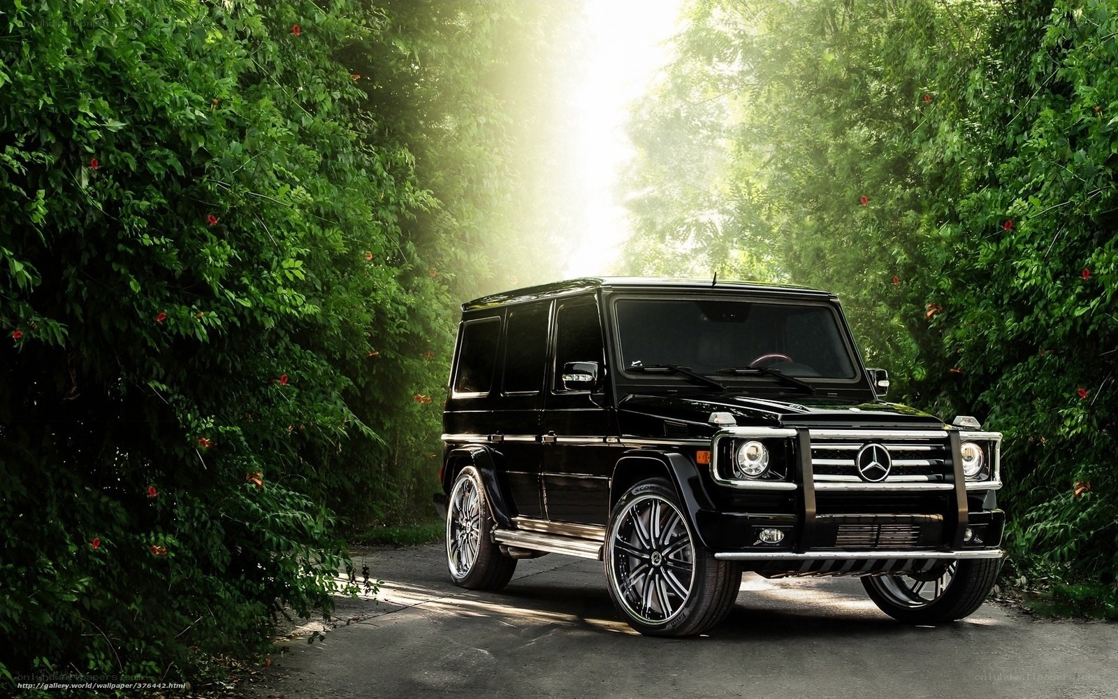 Black G-Wagon in a forest
