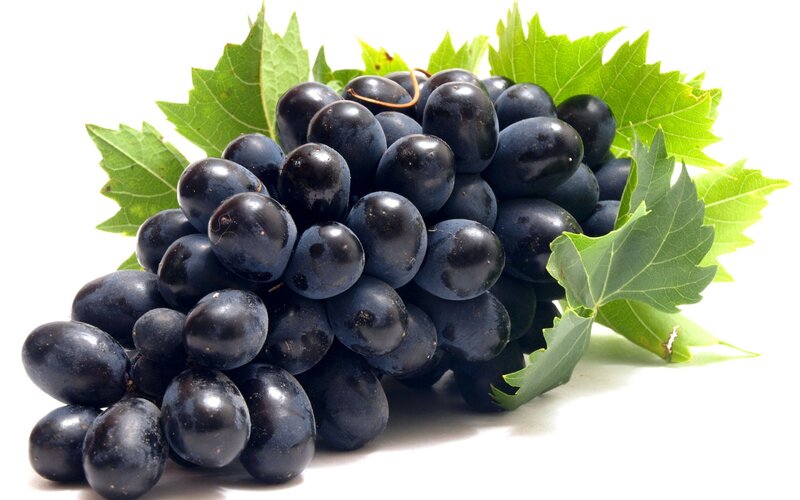 Black Grapes with Leaves
